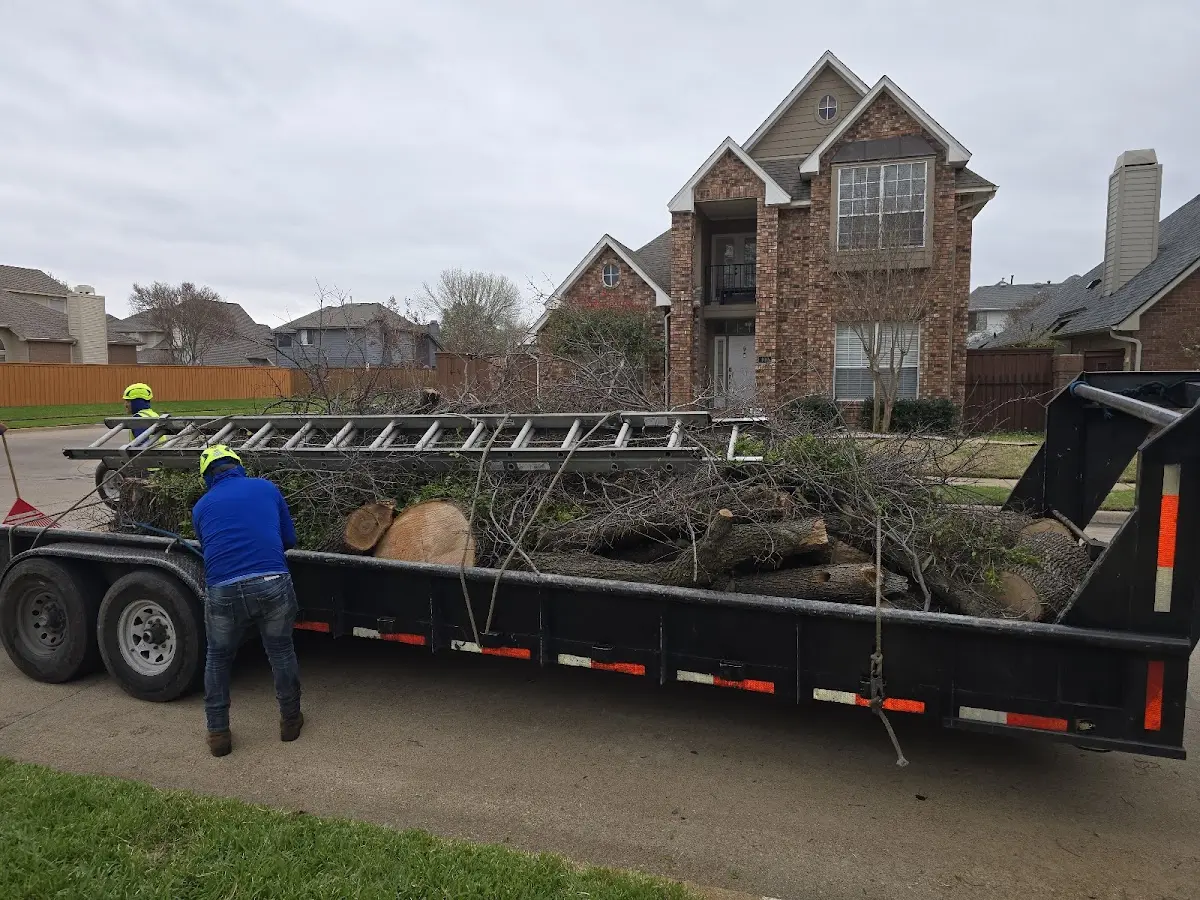 Expert Tree Fertilization with proper safety equipment in Mount Airy